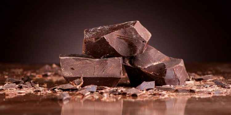 Chocolate negro: ¿un aliado de las dietas para adelgazar?