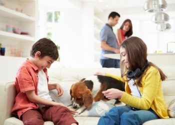 ¿Por qué tu perro te sigue a todas partes? Estos son los verdaderos motivos