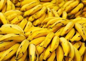 El plátano engorda. ¿Qué hay de cierto y de falso en esta extendida creencia?
