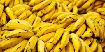 El plátano engorda. ¿Qué hay de cierto y de falso en esta extendida creencia?