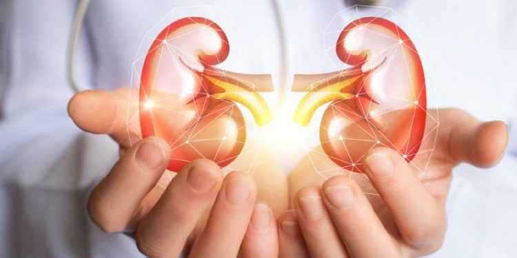 Coronavirus y riñón: cómo afecta la Covid-19 a la salud renal