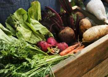 Estas son las 12 frutas y verduras con más pesticidas