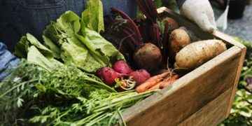 Estas son las 12 frutas y verduras con más pesticidas