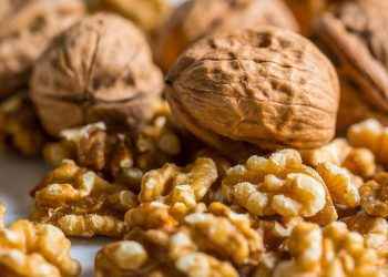 Nueces: manual de uso… y disfrute