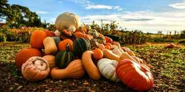 Por estos beneficios debes incluir la calabaza en tus recetas