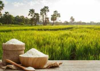 Arsénico en alimentos y riesgo para la salud: ¿cómo evitarlo?