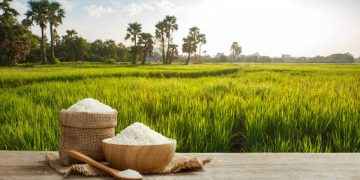 Arsénico en alimentos y riesgo para la salud: ¿cómo evitarlo?