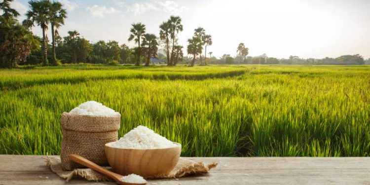 Arsénico en alimentos y riesgo para la salud: ¿cómo evitarlo?