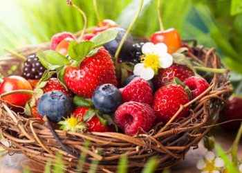 Frutas del bosque: antioxidantes y otras claves de su éxito