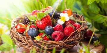 Frutas del bosque: antioxidantes y otras claves de su éxito