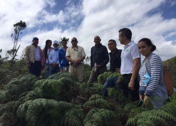 EGEHID Y COAJA inspeccionan programa de reforestación de los ríos Yaque del Norte y Jimenoa