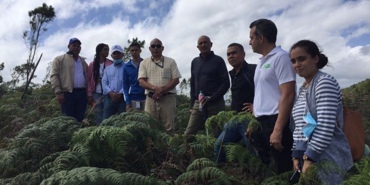 EGEHID Y COAJA inspeccionan programa de reforestación de los ríos Yaque del Norte y Jimenoa