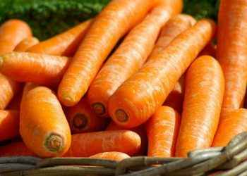 Vitamina A