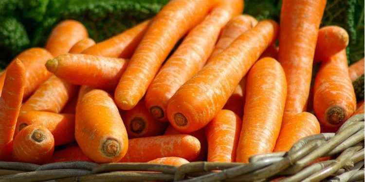 Vitamina A