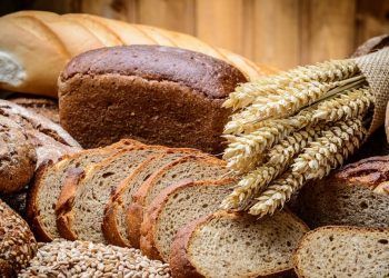 Pan blanco y pan integral: el mito de las calorías