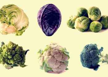 Brócoli y kale, ¿qué pueden hacer por ti las coles de invierno?