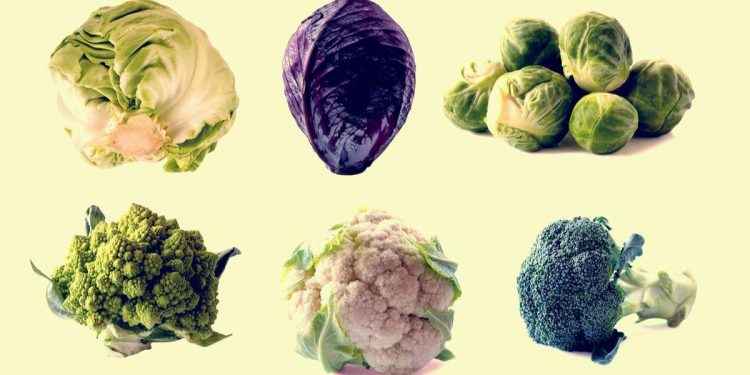 Brócoli y kale, ¿qué pueden hacer por ti las coles de invierno?