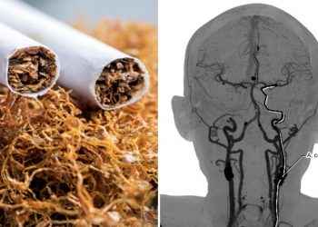 Esto es lo que tarda tu cuerpo en eliminar la nicotina después de fumar un cigarro