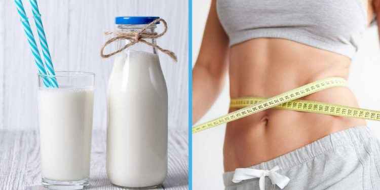 Leche entera o light: ¿cuál es mejor para bajar de peso? La verdad detrás esta bebida