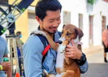 Simu Liu, actor de «Shang-Chi», rescata perrita «Chopa» en calle de Santo Domingo y la adopta