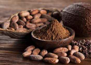 Cacao