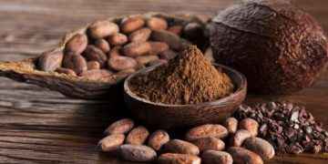 Cacao