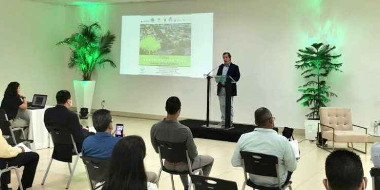 CDES crea foro de arborización ciudadana para monitorear verde de Santiago