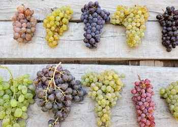 Las 12 uvas: por qué es mejor que las tomes con piel y pepitas