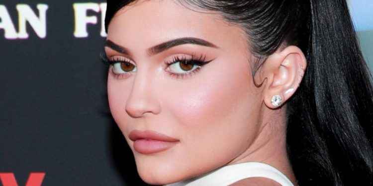 Kylie Jenner enternece a sus seguidores al presentar a su nuevo gato