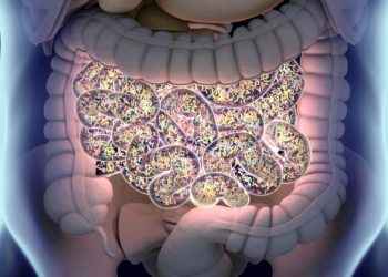 Estudio de Cleveland Clinic relaciona por primera vez el microbioma intestinal y el cáncer de próstata agresivo