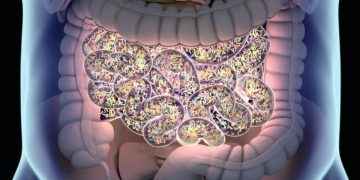 Estudio de Cleveland Clinic relaciona por primera vez el microbioma intestinal y el cáncer de próstata agresivo