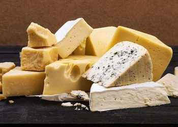 ¿Qué cantidad de queso podemos comer al día?