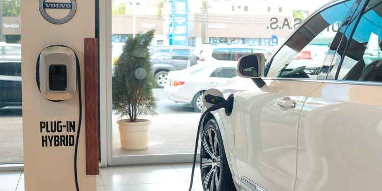 Popular cuenta con cartera cercana a RD1,000 millones para vehículos eco