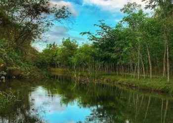 Abinader crea «Refugio de Vida Silvestre Humedales de Laguna Prieta»