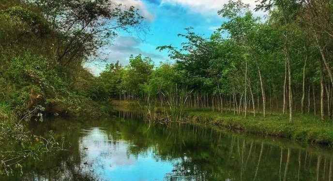 Abinader crea «Refugio de Vida Silvestre Humedales de Laguna Prieta»