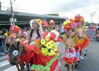 Carnaval de Santiago logra movimiento económico durante su realización