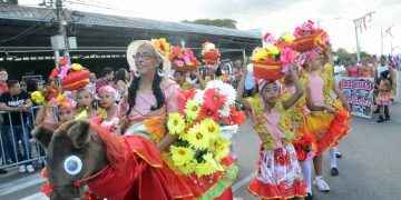 Carnaval de Santiago logra movimiento económico durante su realización