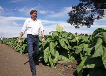 Gobierno continúa apoyando sector tabacalero