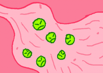 ¿Cuáles son las infecciones de transmisión sexual más frecuentes?