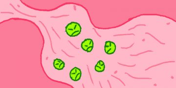 ¿Cuáles son las infecciones de transmisión sexual más frecuentes?