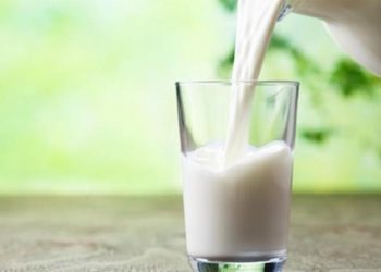 Los adultos no necesitan la leche, ¿realidad o mito?