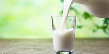 Los adultos no necesitan la leche, ¿realidad o mito?