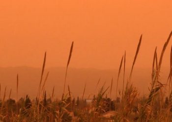 Calima: ¿cómo afecta el polvo del Sáhara a nuestra salud?