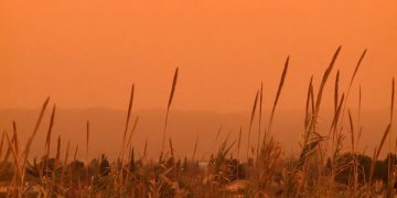 Calima: ¿cómo afecta el polvo del Sáhara a nuestra salud?