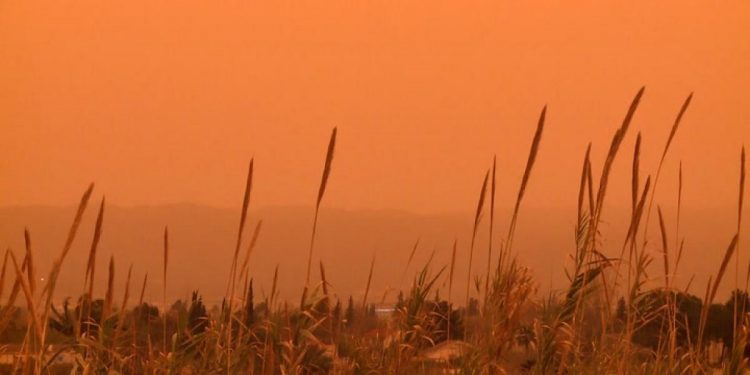 Calima: ¿cómo afecta el polvo del Sáhara a nuestra salud?