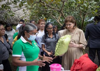 Vicepresidenta sostiene encuentro con mujeres emprendedoras de Espaillat
