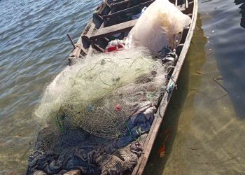 Medio Ambiente decomisa peces en la bahía de Manzanillo