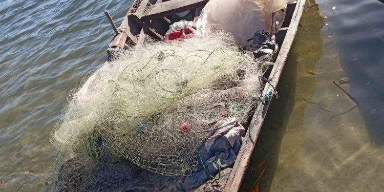 Medio Ambiente decomisa peces en la bahía de Manzanillo