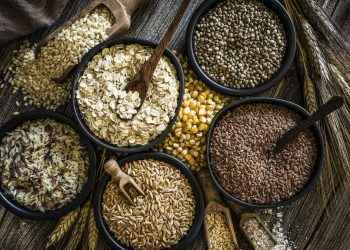 Fibra alimentaria