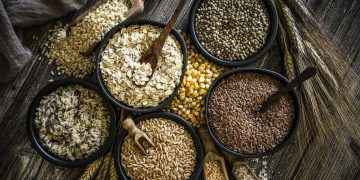 Fibra alimentaria